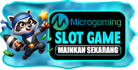 MICRO GAMING